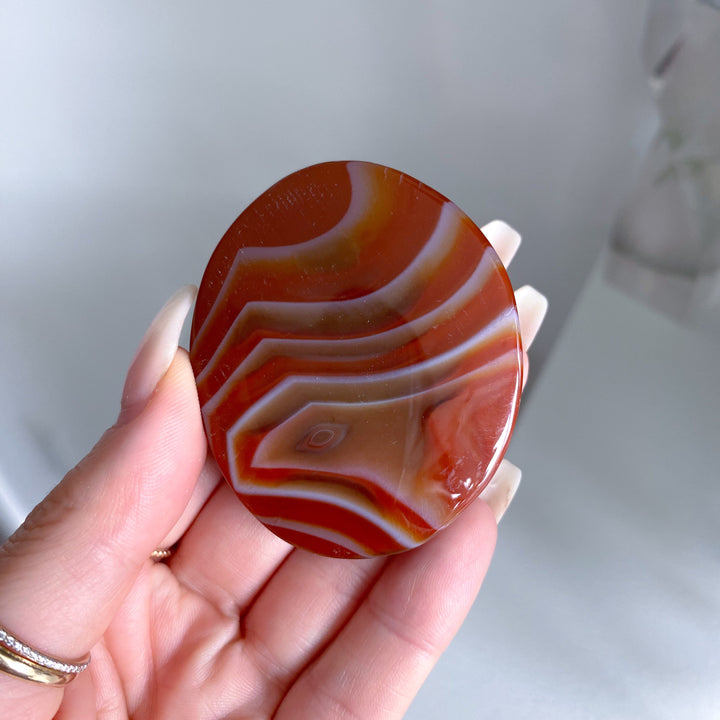 Smooth Carnelian Palm #12