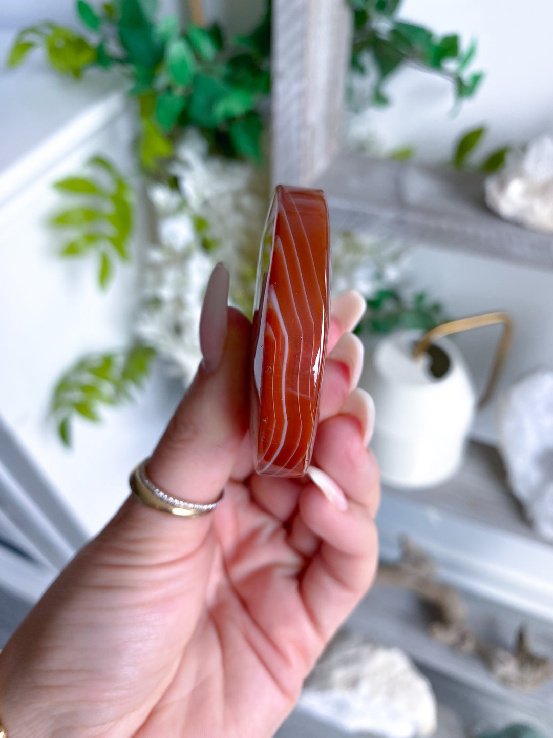 Smooth Carnelian Palm #12