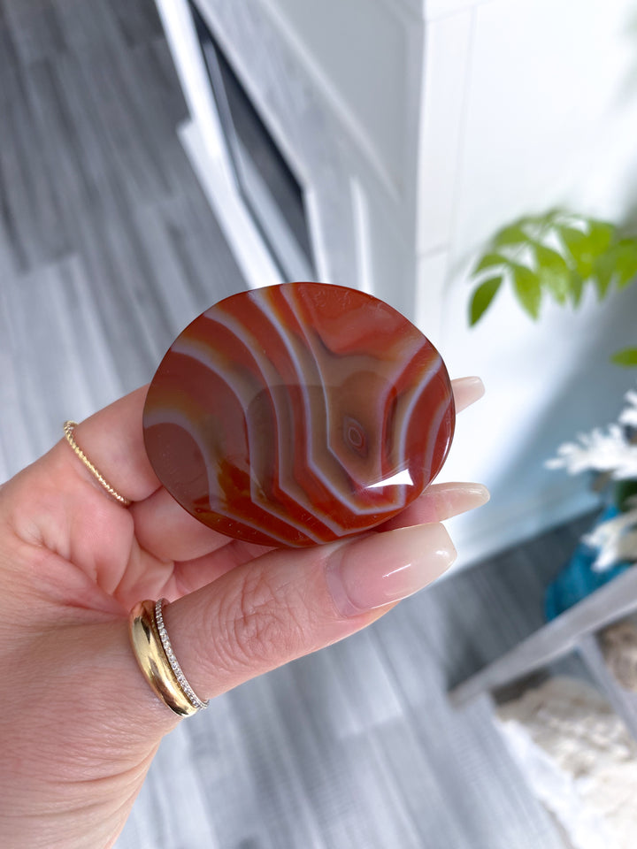 Smooth Carnelian Palm #12