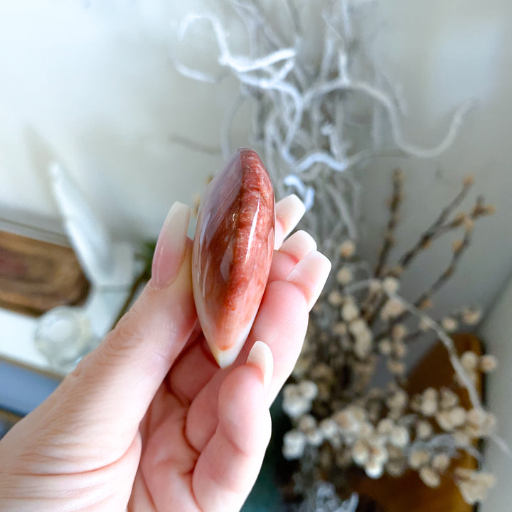 Hand holding a pink shell with a blurred background