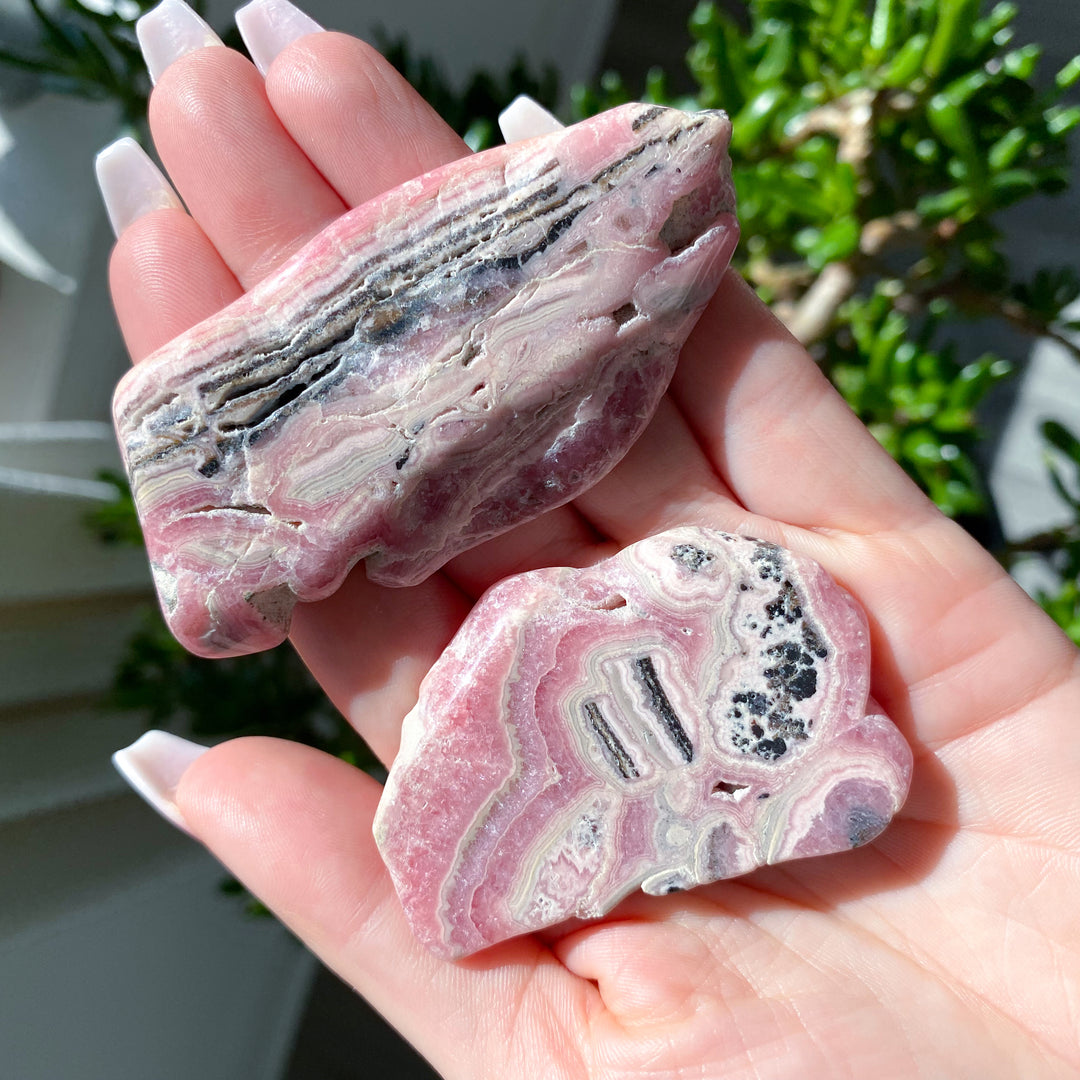 Two pink and gray marbled rocks held in a hand with a blurred green plant background