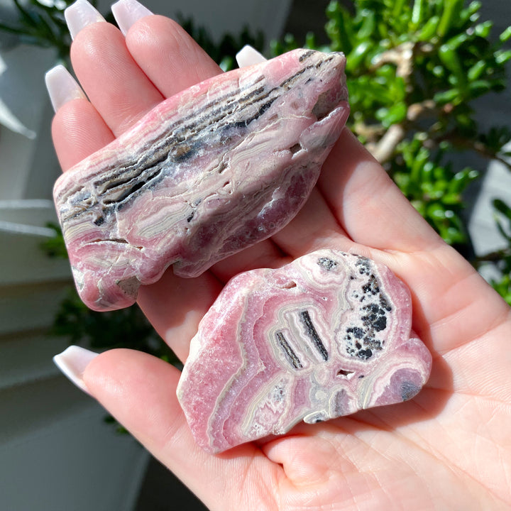 Two pink and gray marbled rocks held in a hand with a blurred green plant background