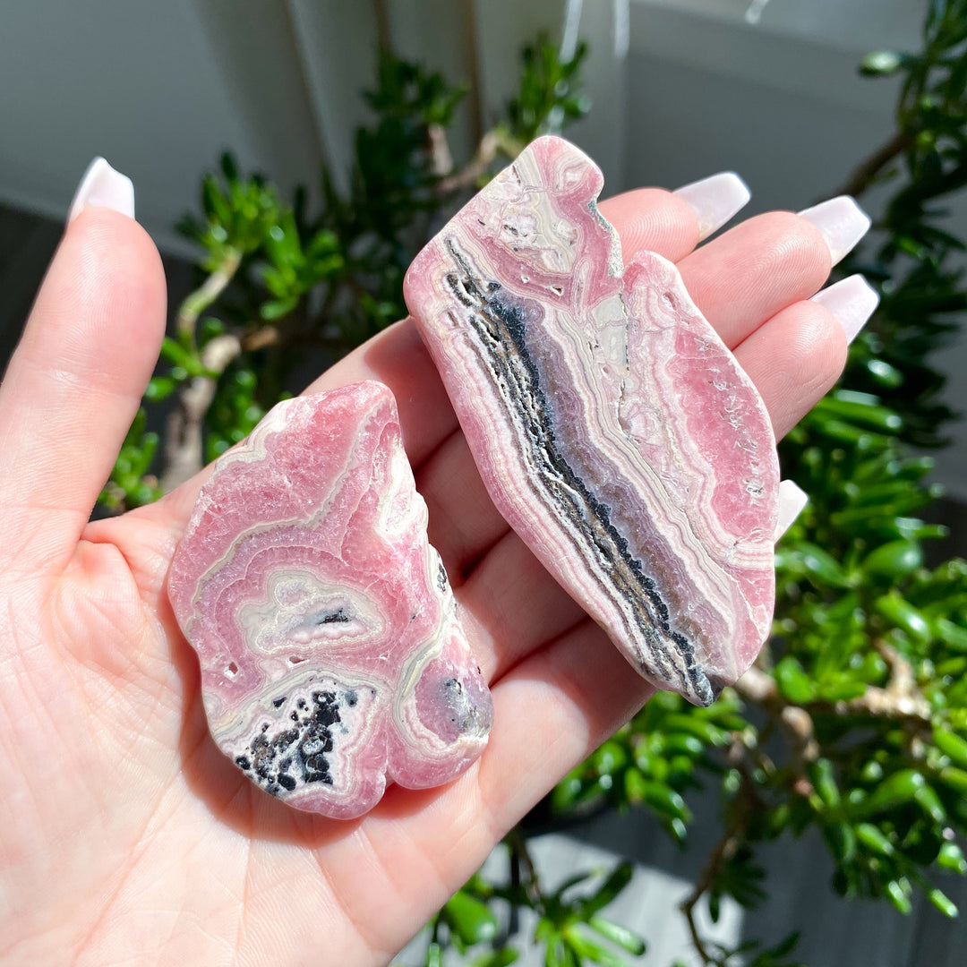 Two pink and gray marbled rocks held in a hand with a blurred green plant background