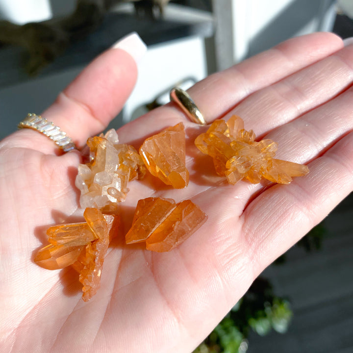 Cutie XS Natural Tangerine Quartz Cluster - Your Choice