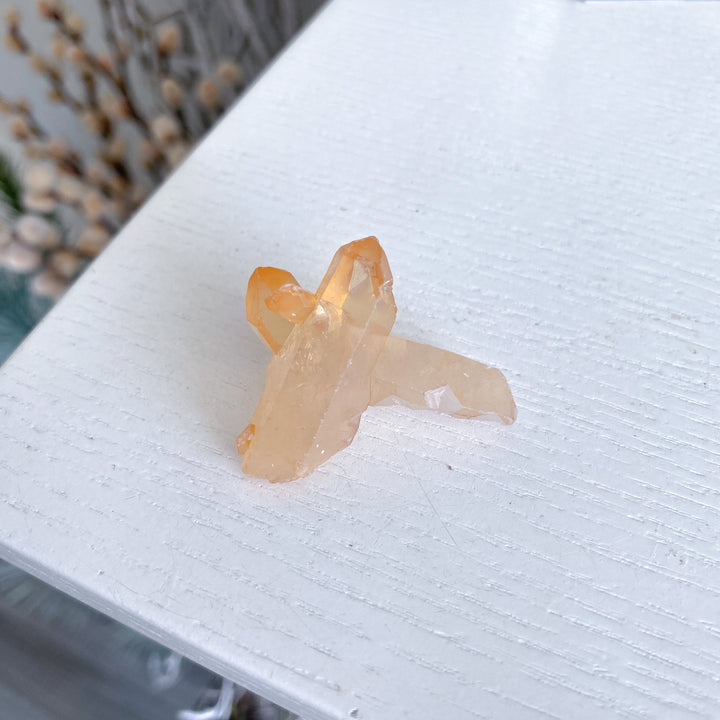 X Marks the Spot Natural Tangerine Quartz Mini Cluster #11