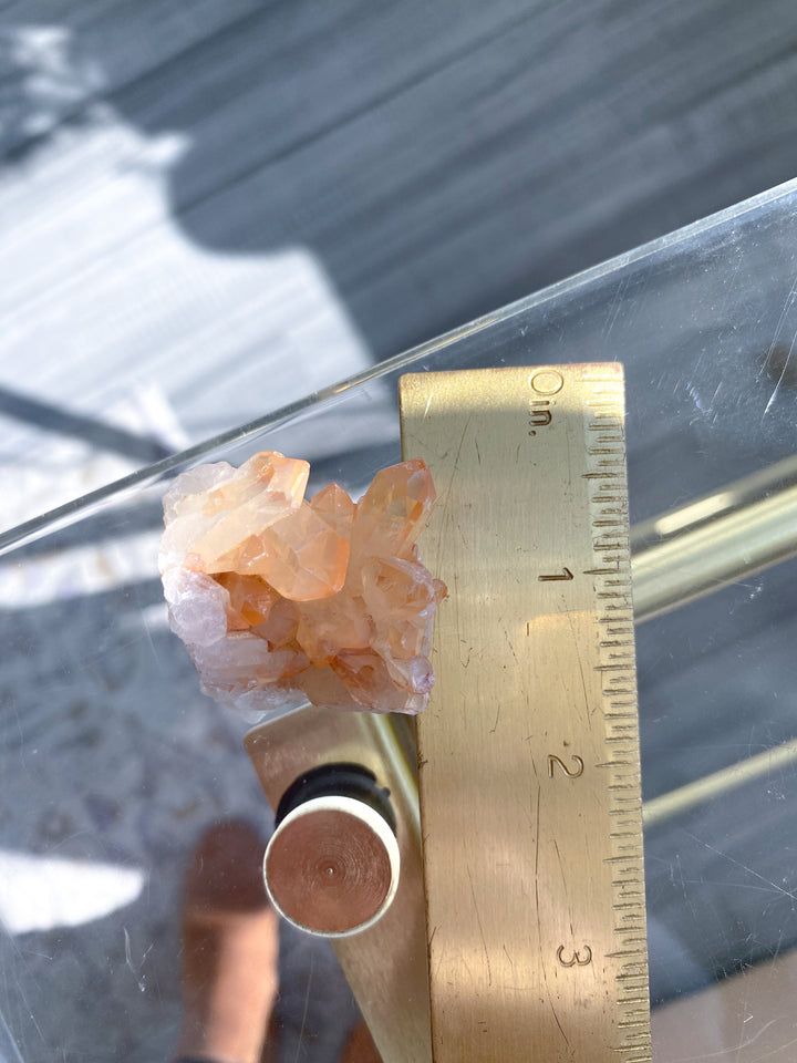 Standing Natural Tangerine Quartz Mini Cluster #7