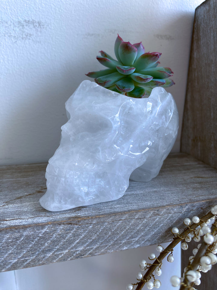 White Quartz Skull Bowl