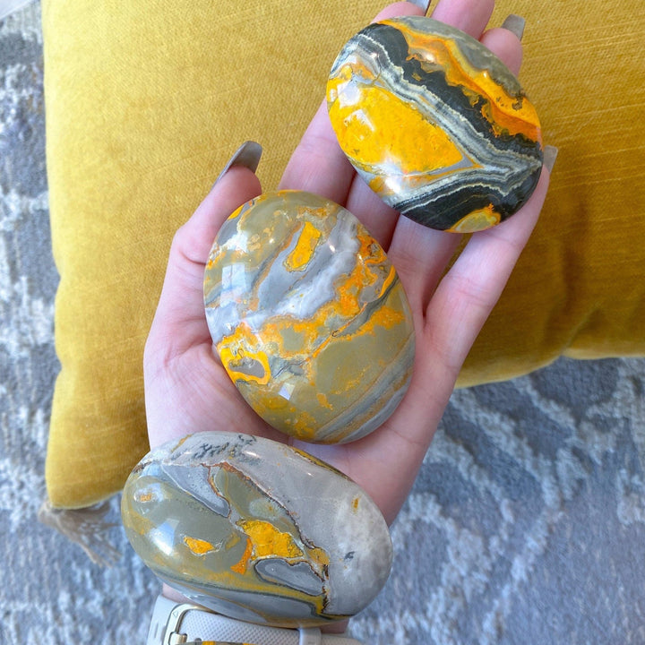 Bumble Bee Jasper Palm Stone - You Choose