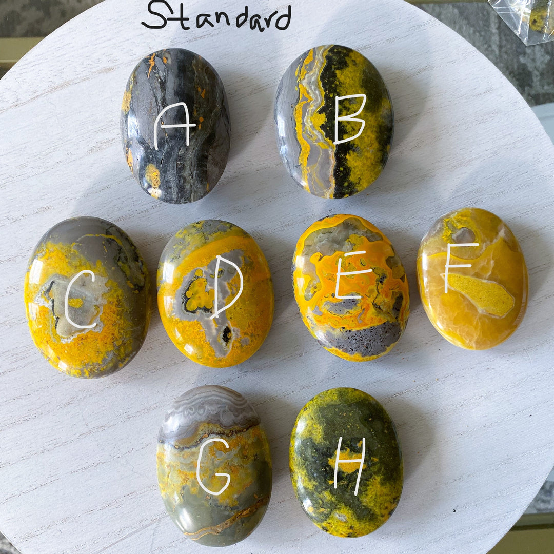 Bumble Bee Jasper Palm Stone - You Choose