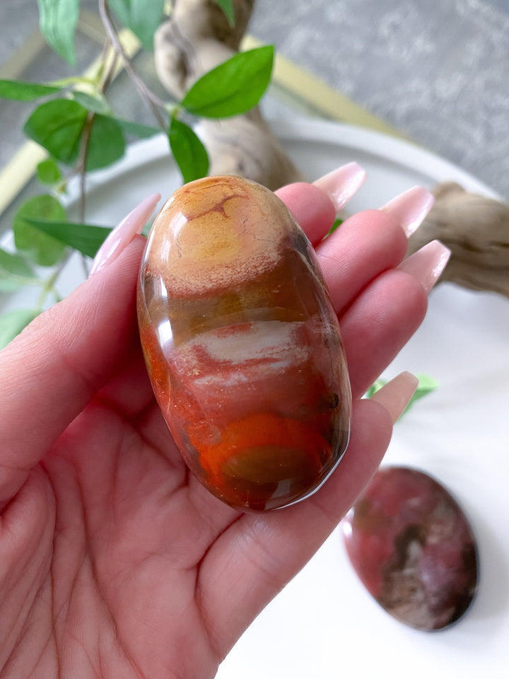 Petrified Wood Palm Stone - Get Exact item - Grounding - Root Chakra - Transformation - Evolution - Strength