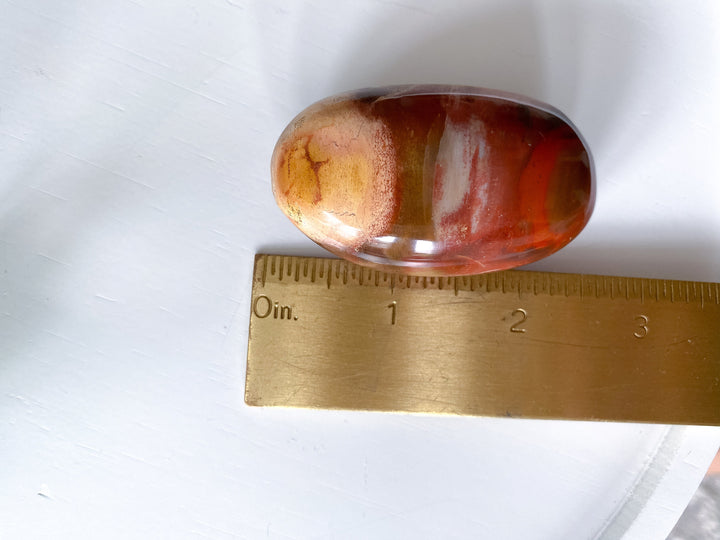 Petrified Wood Palm Stone - Get Exact item - Grounding - Root Chakra - Transformation - Evolution - Strength