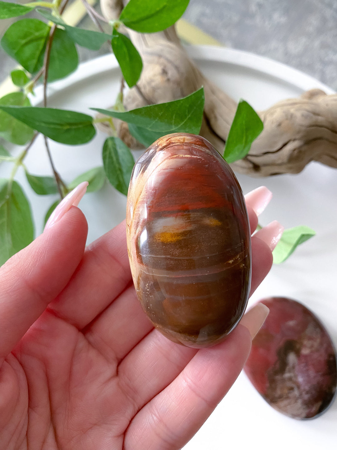 Petrified Wood Palm Stone - Get Exact item - Grounding - Root Chakra - Transformation - Evolution - Strength