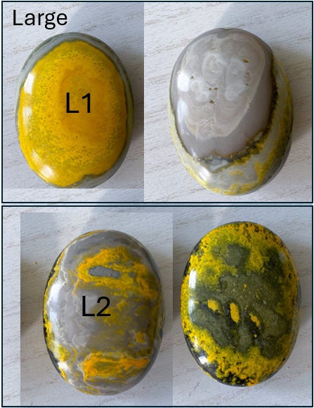 Bumble Bee Jasper Palm Stone - You Choose