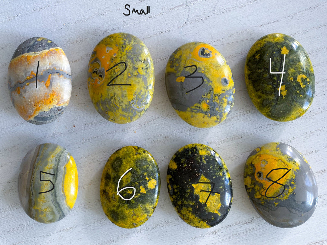 Bumble Bee Jasper Palm Stone - You Choose