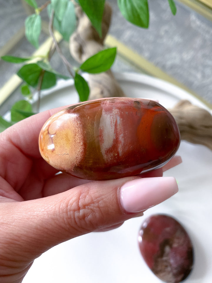 Petrified Wood Palm Stone - Get Exact item - Grounding - Root Chakra - Transformation - Evolution - Strength
