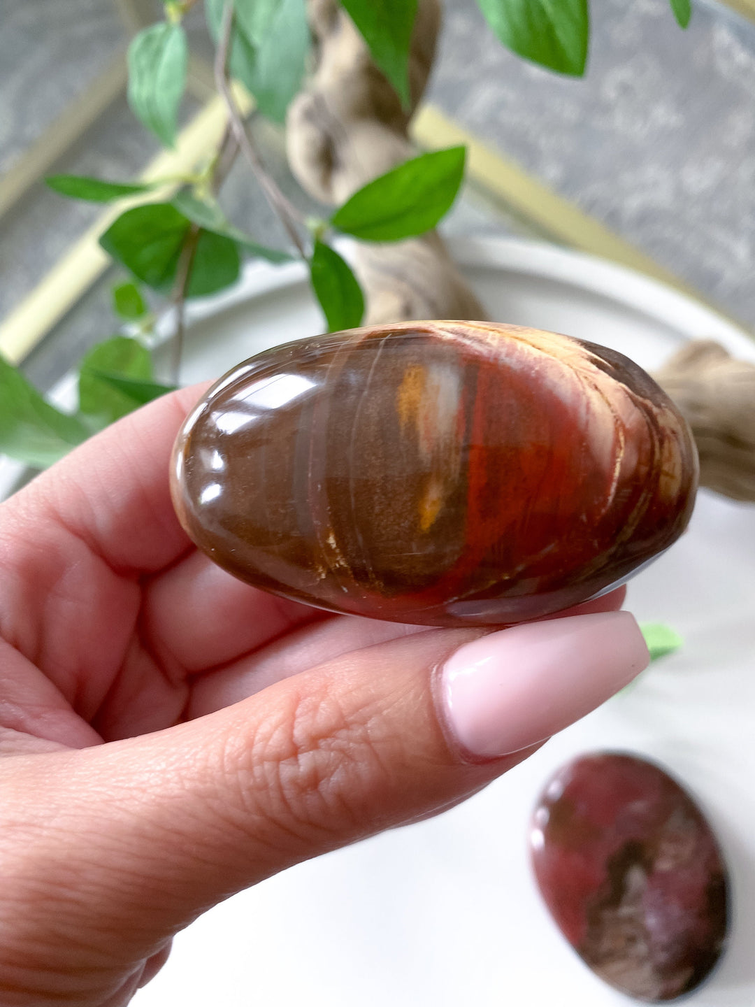 Petrified Wood Palm Stone - Get Exact item - Grounding - Root Chakra - Transformation - Evolution - Strength