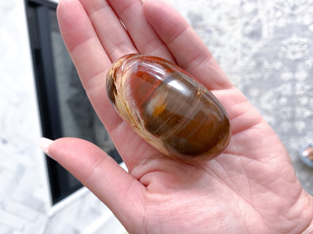 Petrified Wood Palm Stone - Get Exact item - Grounding - Root Chakra - Transformation - Evolution - Strength