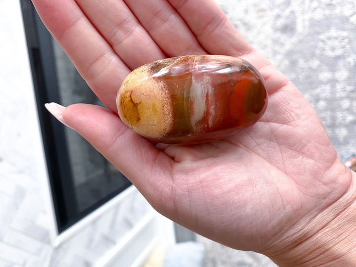 Petrified Wood Palm Stone - Get Exact item - Grounding - Root Chakra - Transformation - Evolution - Strength