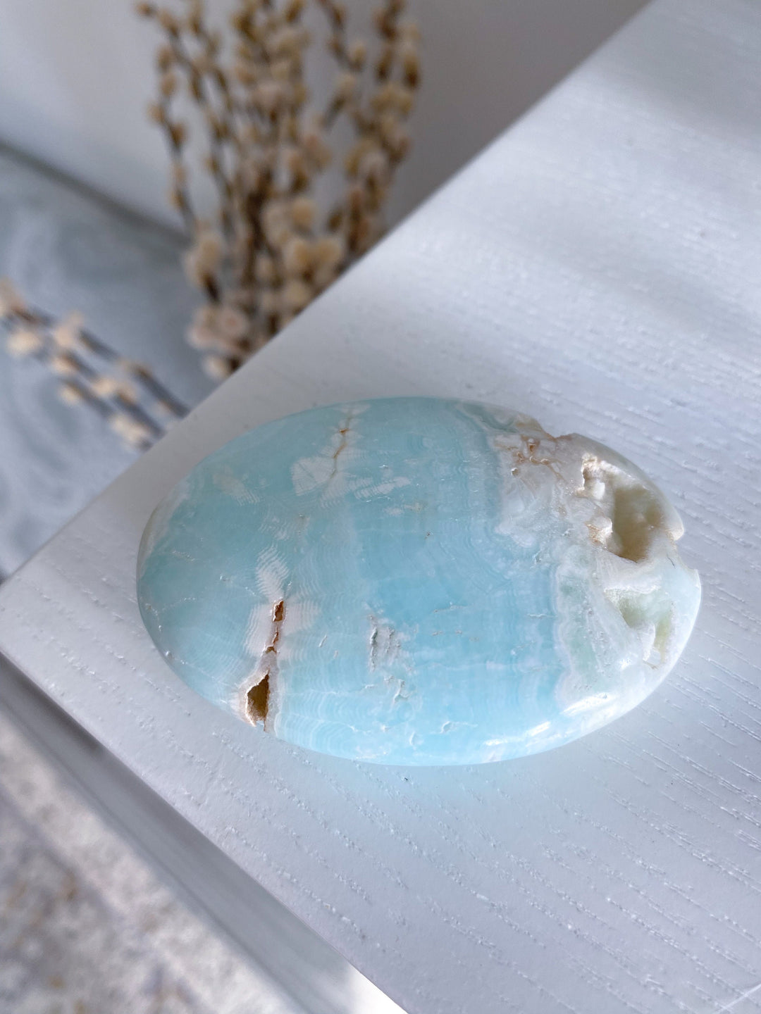 Caribbean Calcite Palm Stone #5