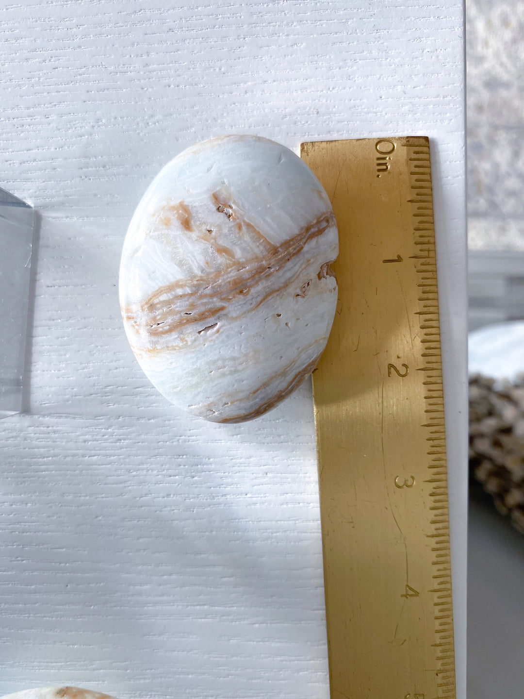 Caribbean Calcite Palm Stone #3