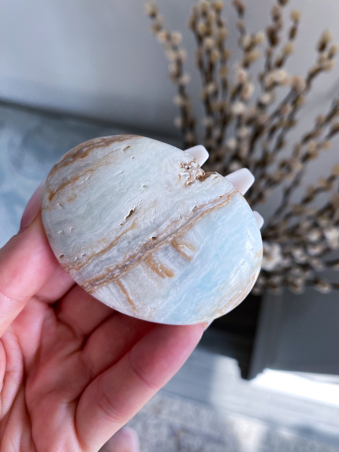 Caribbean Calcite Palm Stone #3