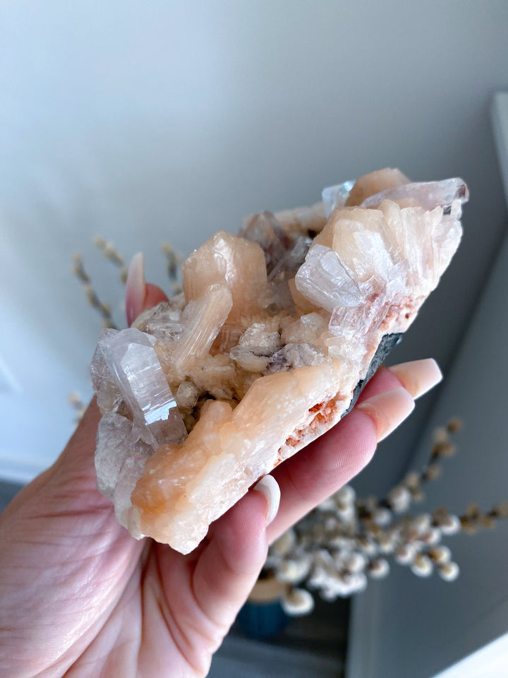 Pink Apophyllite Cluster #1