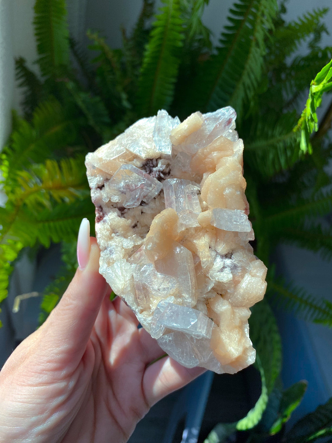 Pink Apophyllite Cluster #1