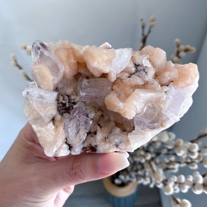 Pink Apophyllite Cluster #1