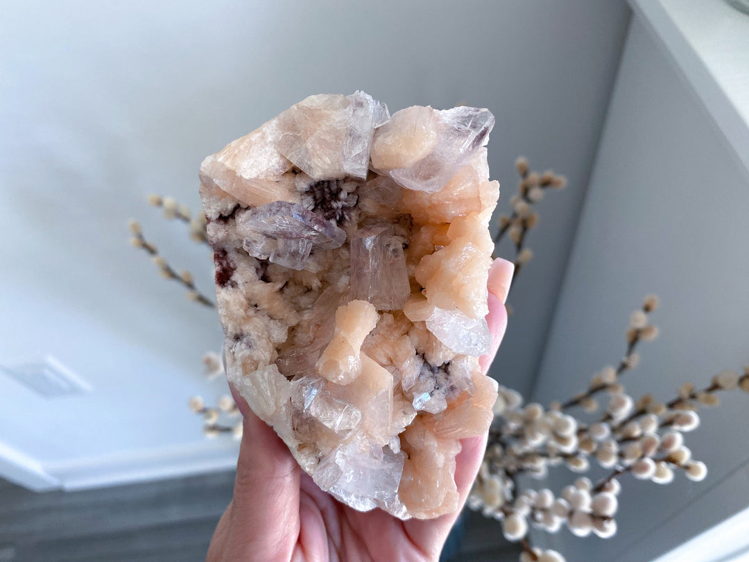 Pink Apophyllite Cluster #1