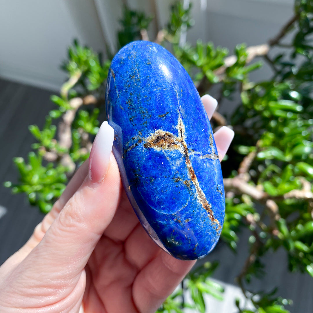 Hand holding a blue stone with greenery in the background