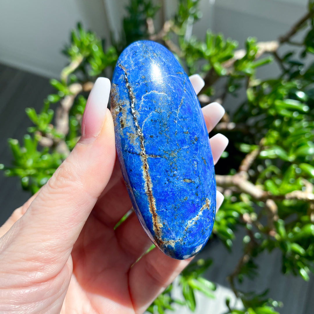 Hand holding a blue stone with green foliage in the background
