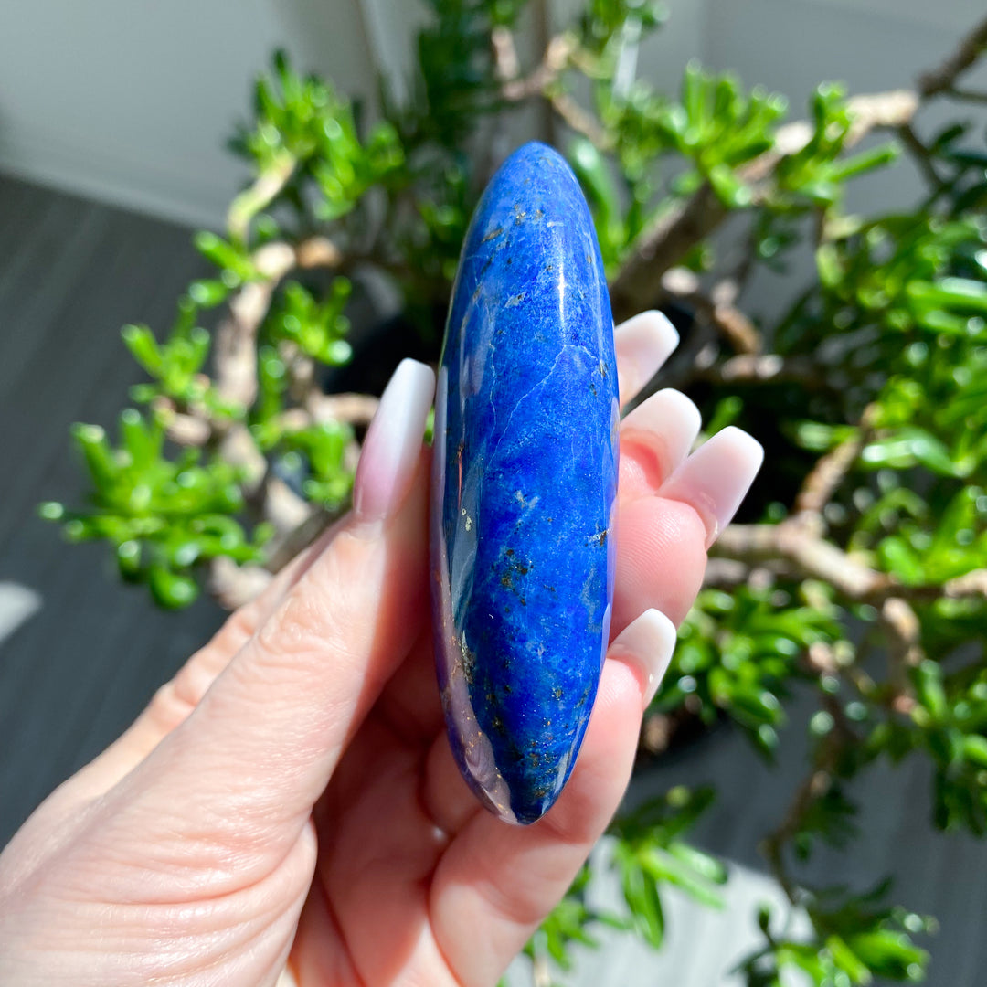 Hand holding a blue stone with green plants in the background