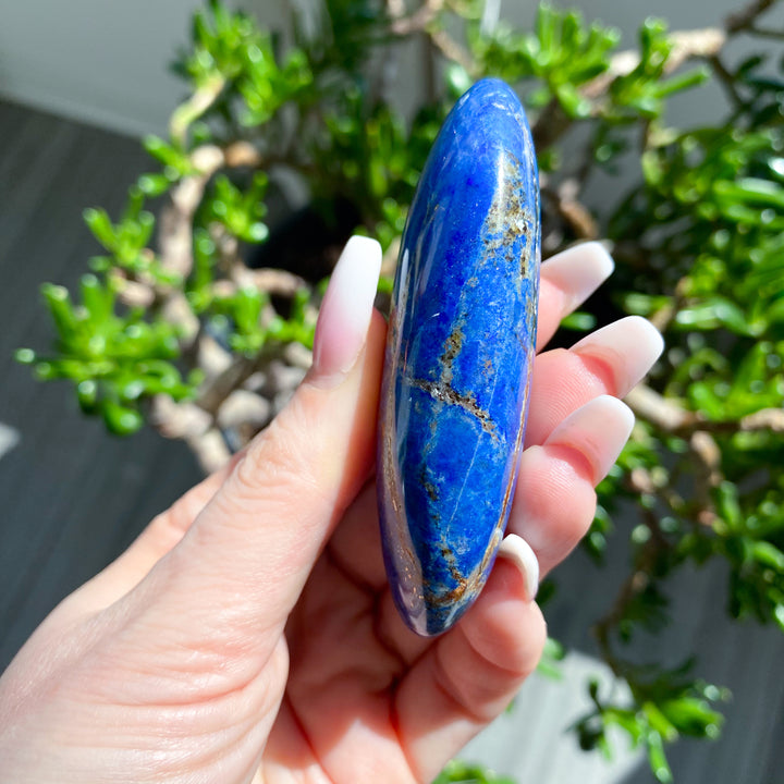 Hand holding a blue stone with green plants in the background