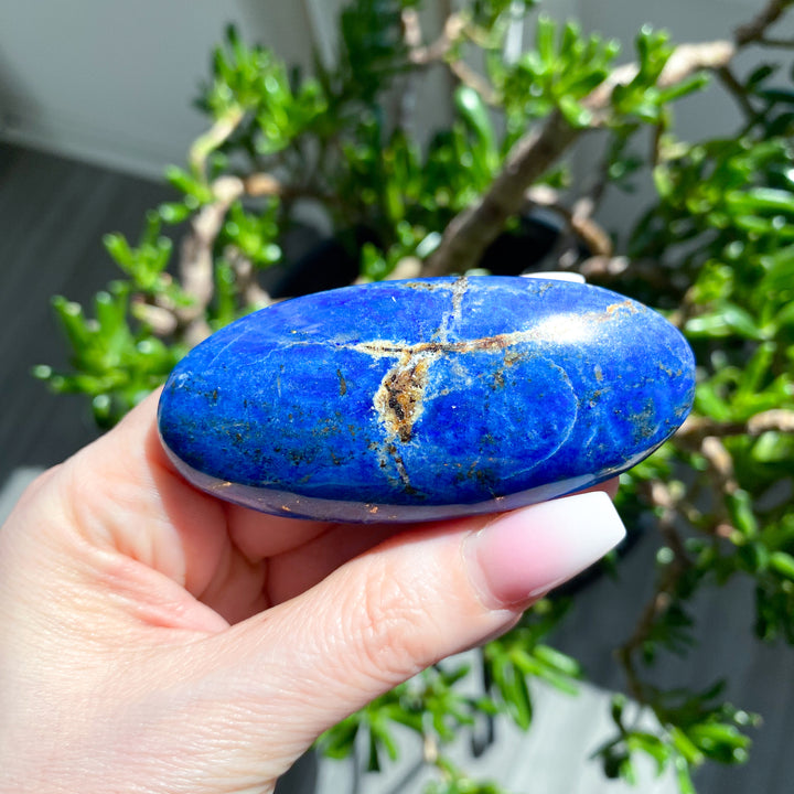 Hand holding a blue stone with a natural pattern against a blurred green plant background