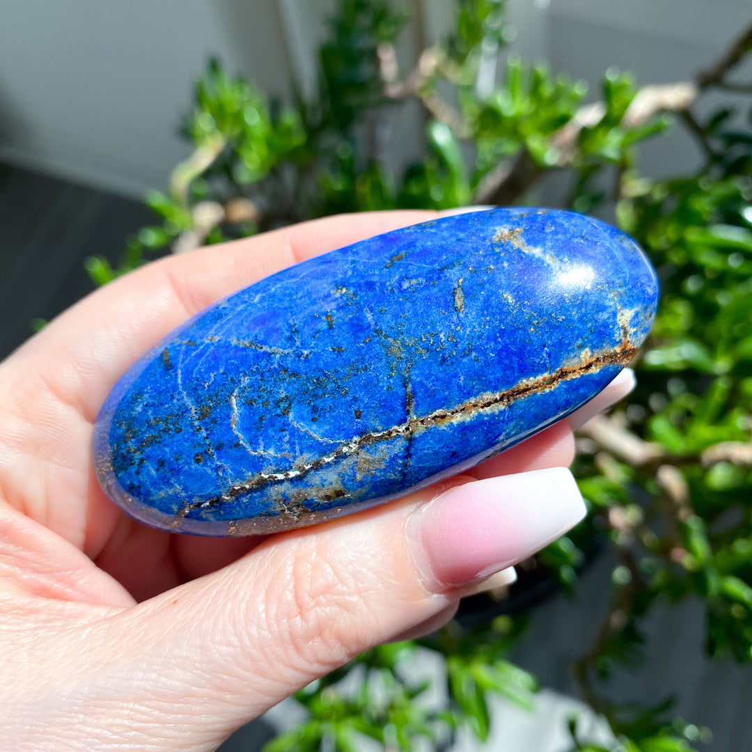 Hand holding a blue stone with green plants in the background