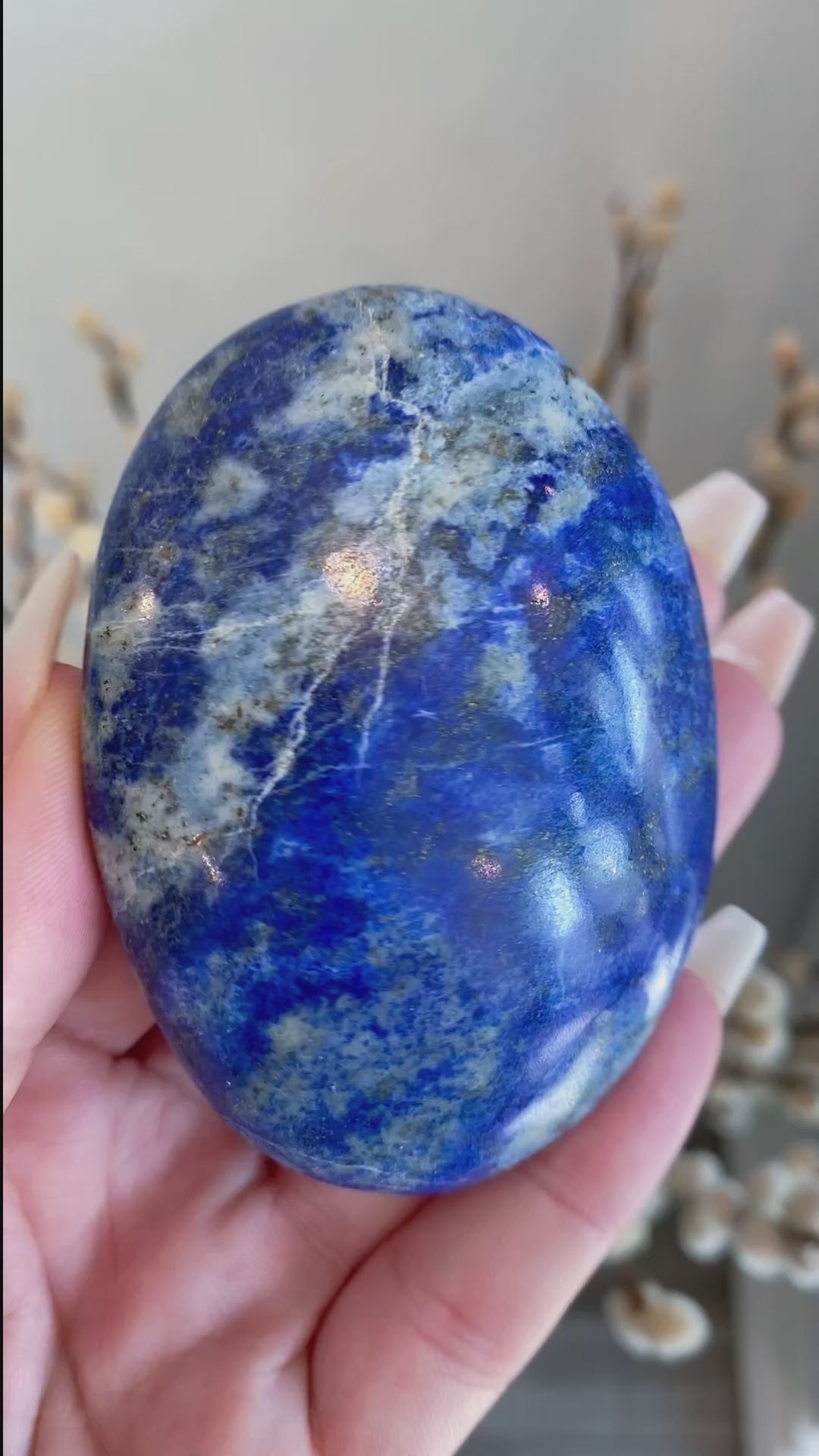 Lapis Lazuli Palm Stone #4 - Get Exact Item