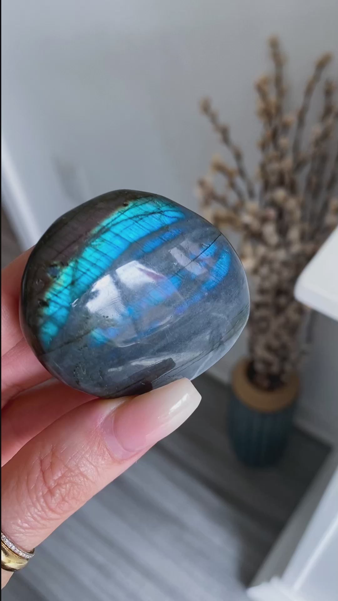 Tiger Blood Labradorite Palm