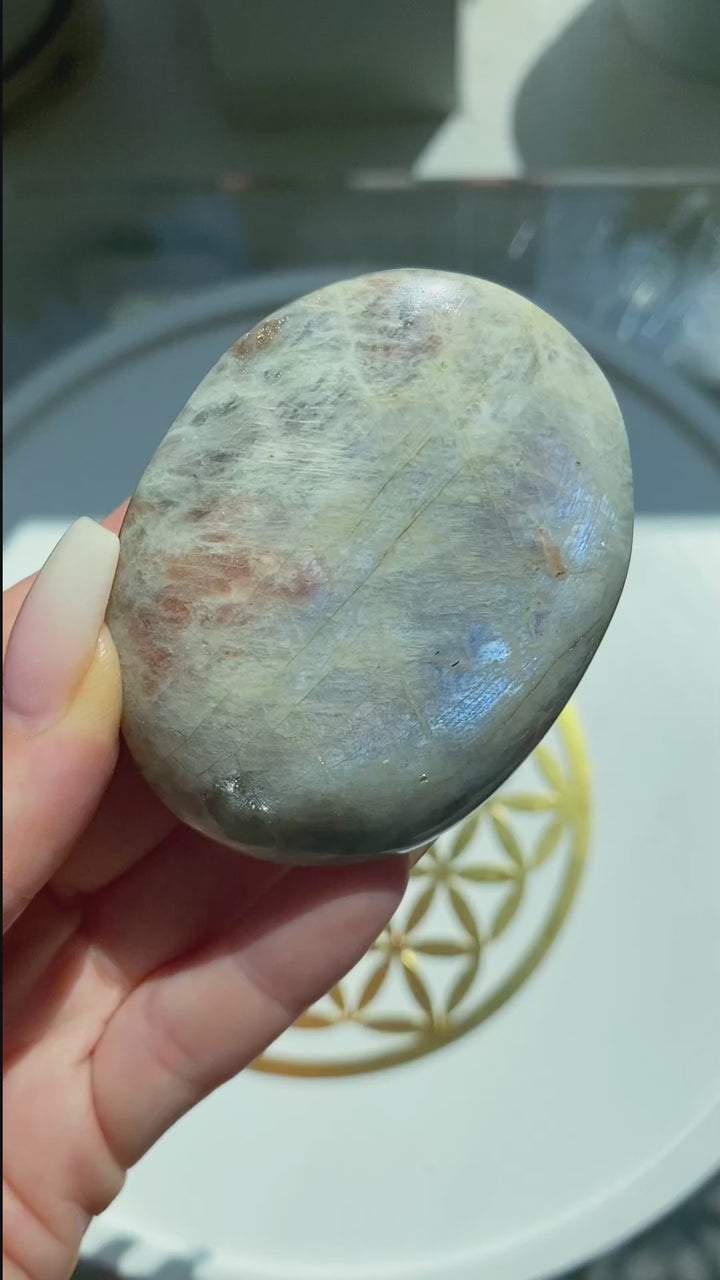 Blue Flash Moonstone with Sunstone Palm Stone #3
