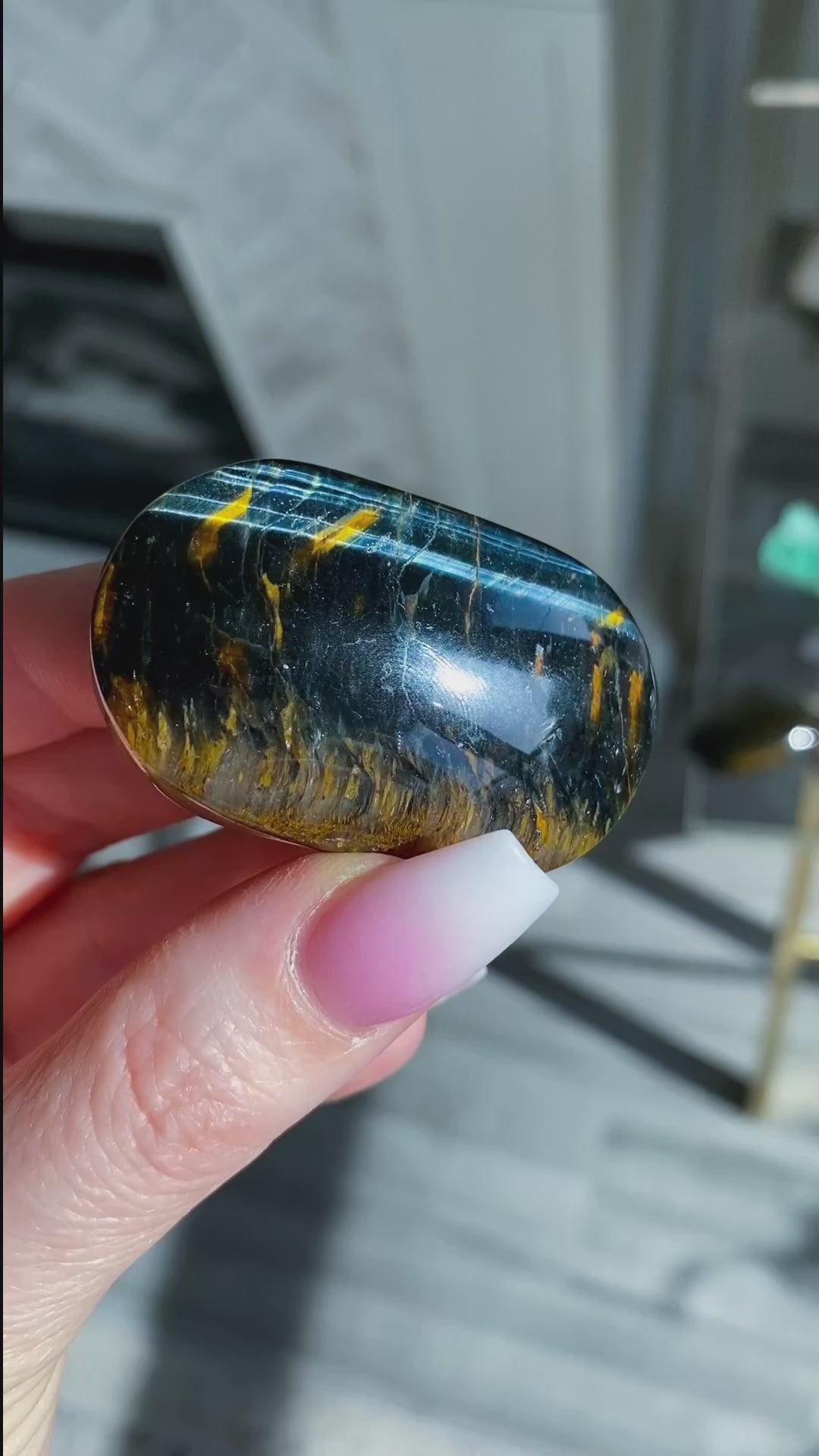 Blue Tiger Eye Palm