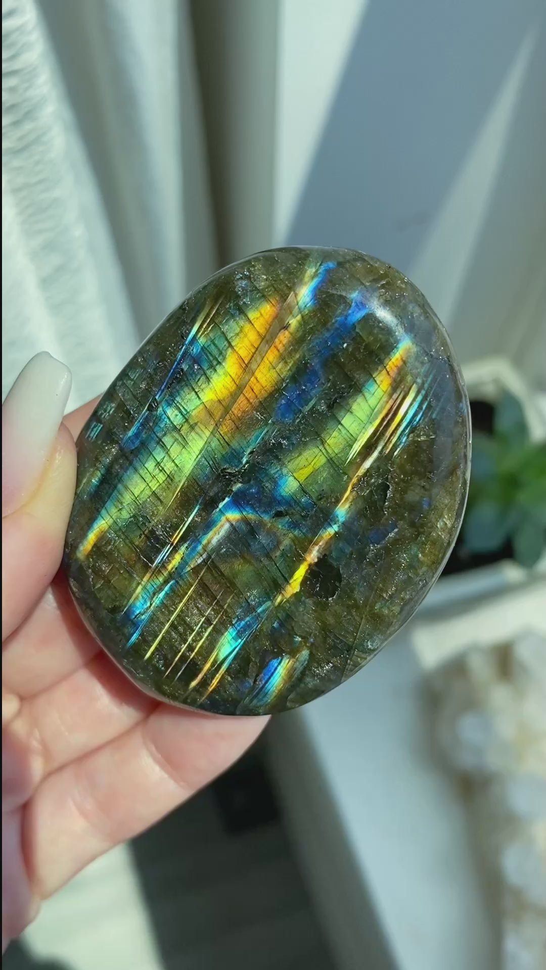 Labradorite Palm Stone 