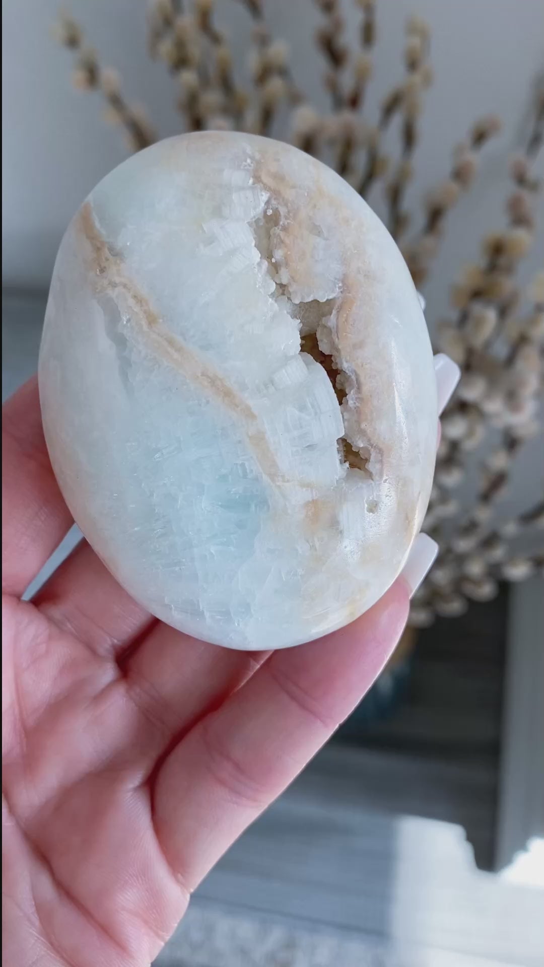 Carribean Calcite Palm Stone #4