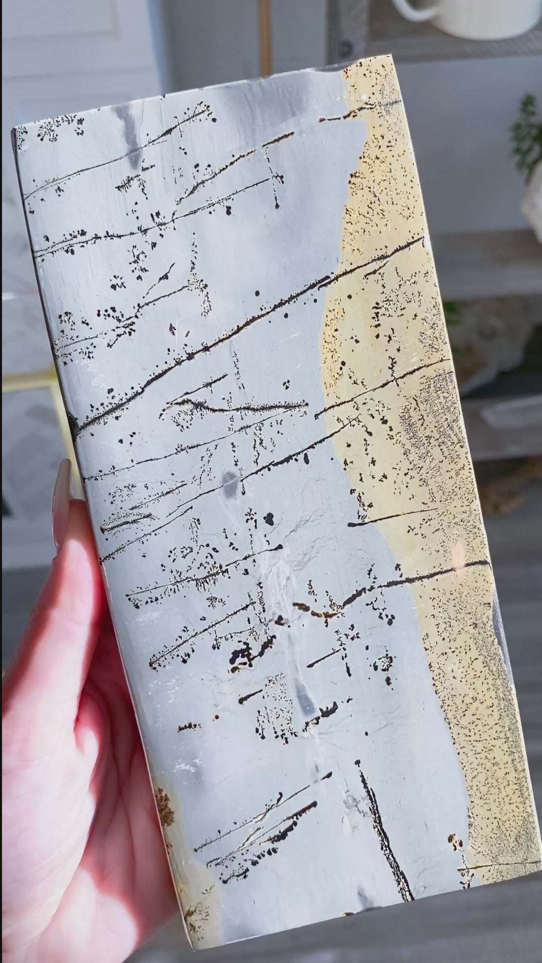 Gorgeous Picture Jasper Slab on Stand #2