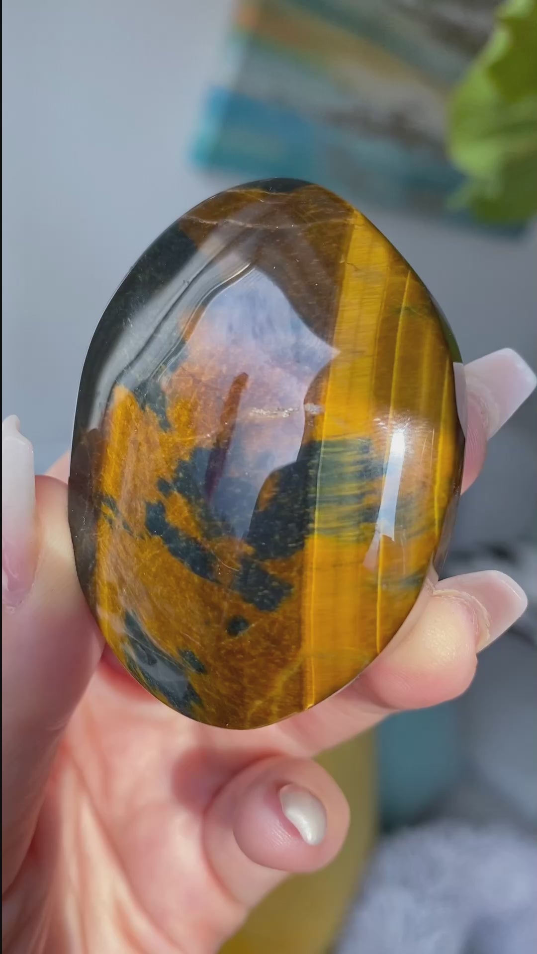 Unique Blue Tiger Eye Palm 