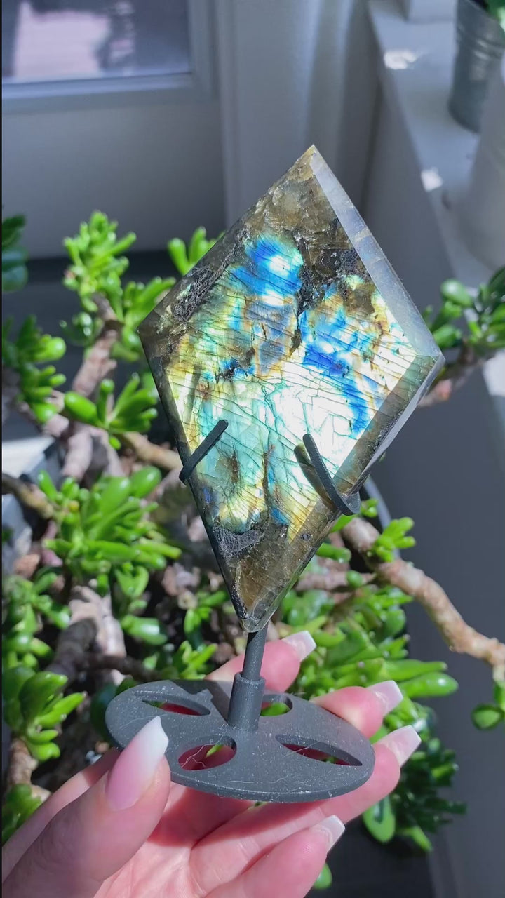 Stunning Labradorite Diamond on Stand 