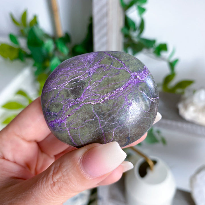 Stichtite Palm Stone #1