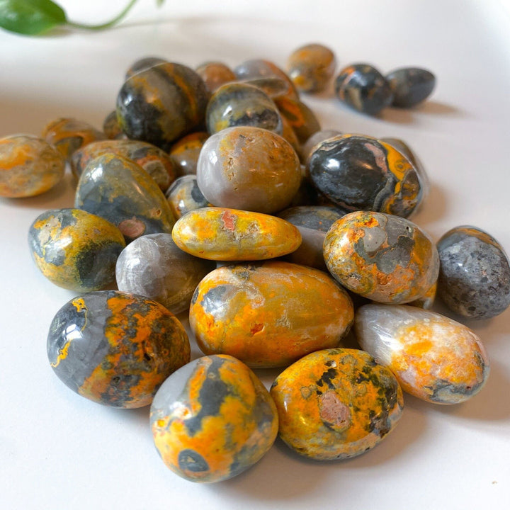 Bumble Bee Jasper Tumble Stone