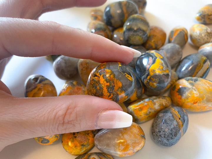 Bumble Bee Jasper Tumble Stone