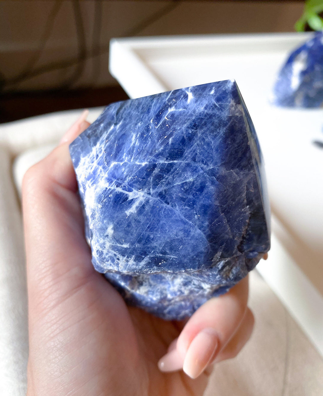 Sodalite Top Polish Point - You Choose Size