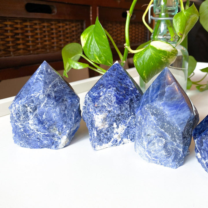 Sodalite Top Polish Point - You Choose Size