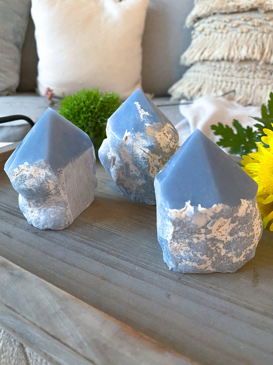 SPIRIT GUIDE Angelite Crystal Top Polish Point